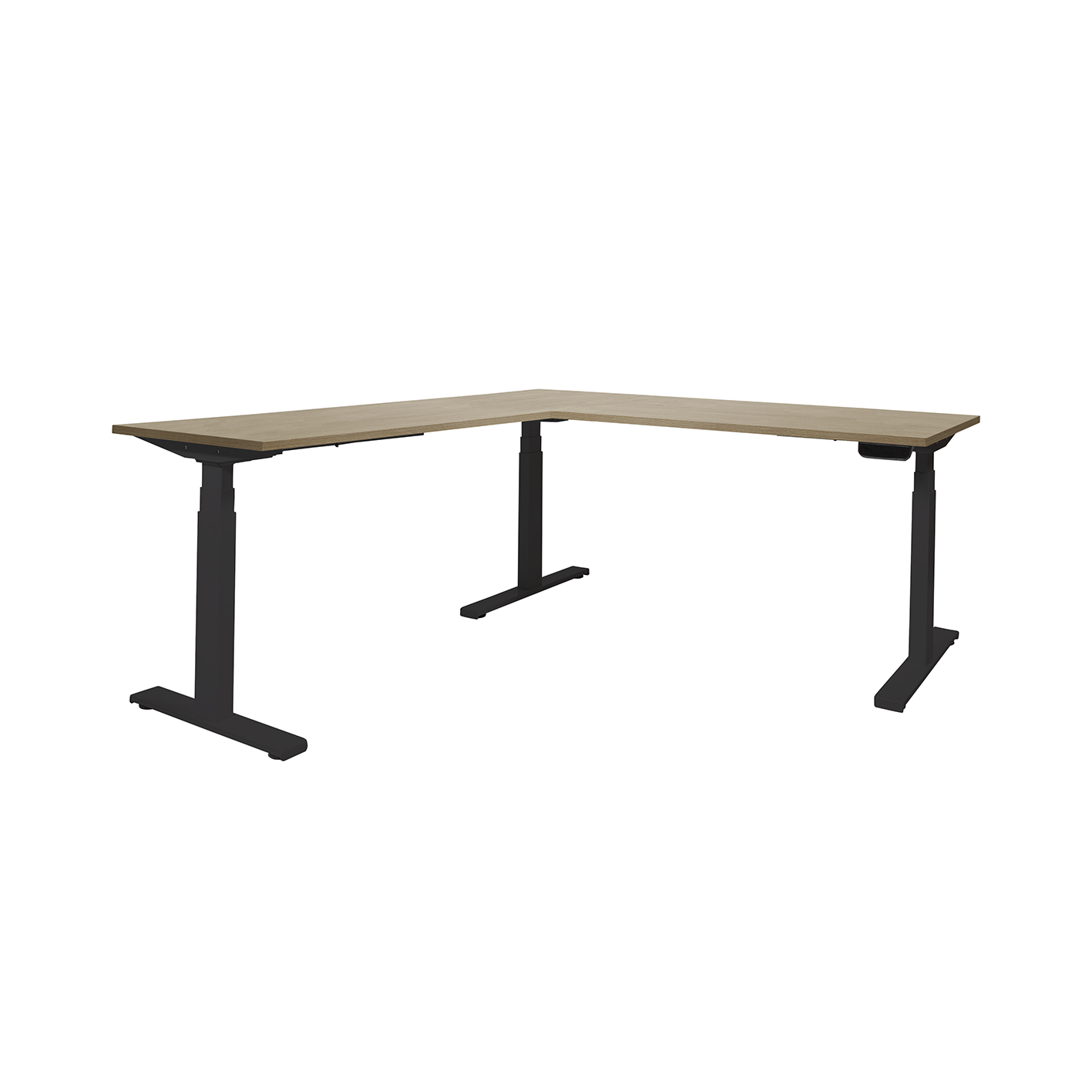 Dextro Plus L HVE ZS 208/126 cm, Havanna, 25 mm - zwart